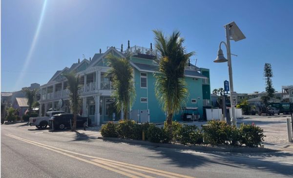 Eighty new coconut palms line Bridge Street
