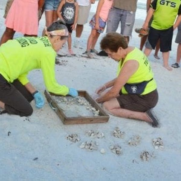 Where's Bortie excavation