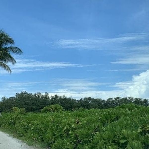 Grassy Point expansion plans stall