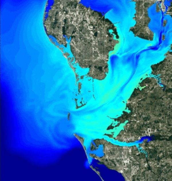 Piney Point-algae link explored