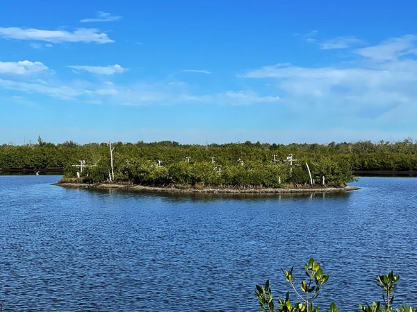 The re-making of Perico Preserve