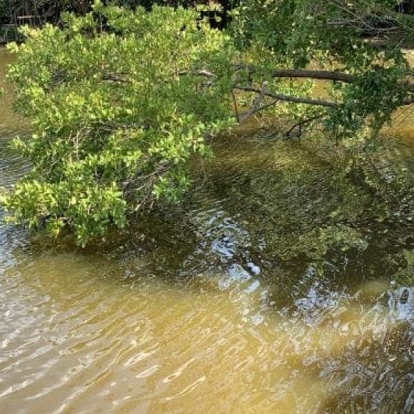 Officials hope for Spring Lake recovery