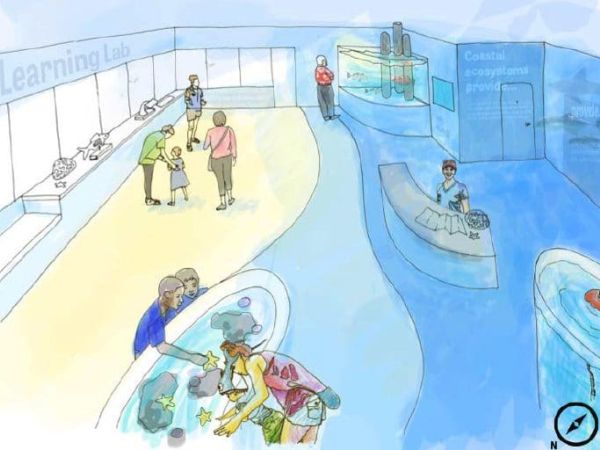 Mote Marine proposes City Pier education and outreach center