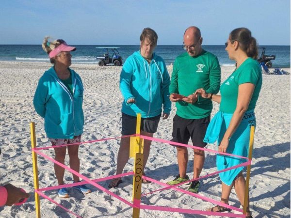 Turtle Watch volunteers find season&rsquo;s first sea turtle nest