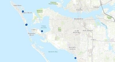 Non-toxic blue-green algae lingers