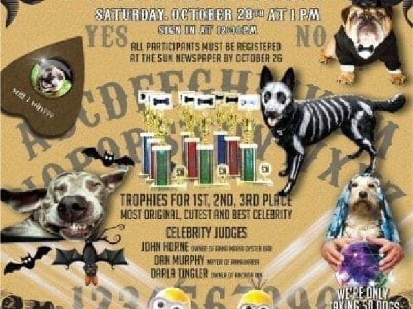 Canine costume contest
