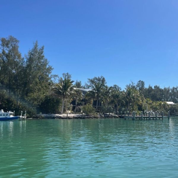 Jewfish seeks fewer restrictions