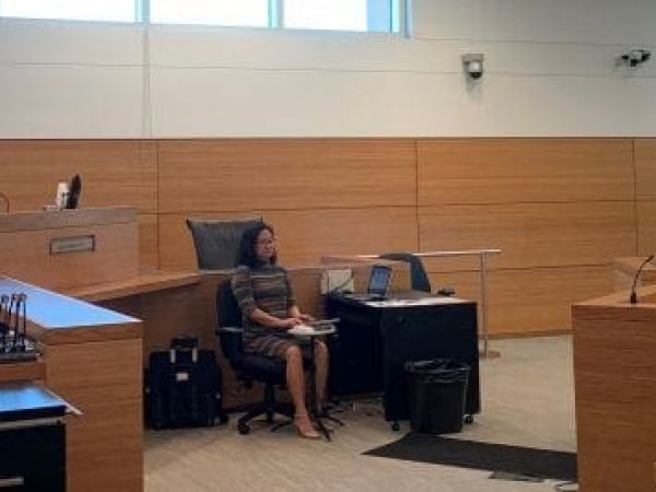 Treehouse owners start new year in court