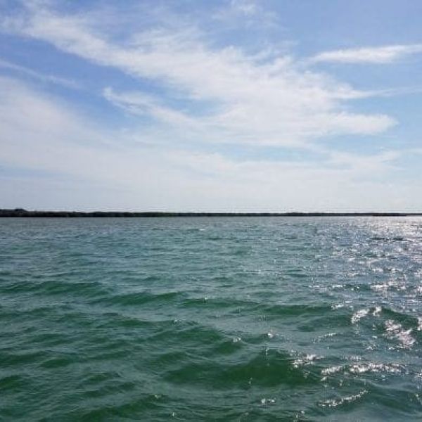 Long Bar Pointe