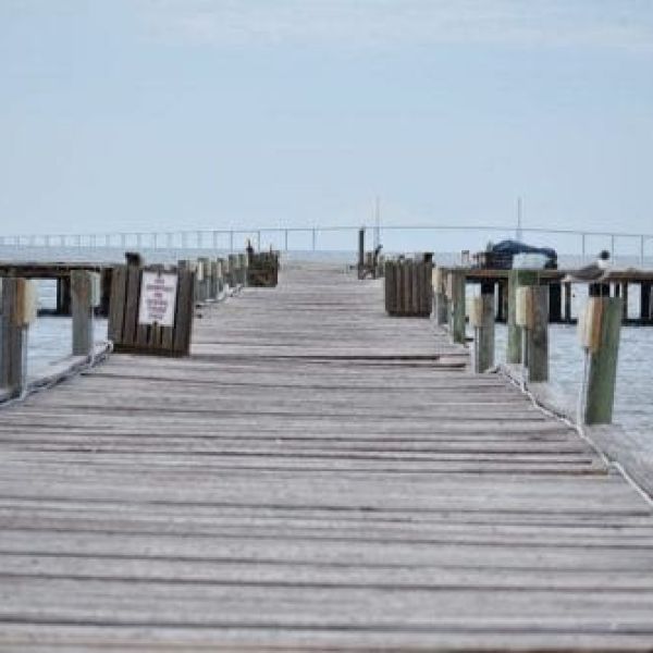 Anna Maria City Pier RFP