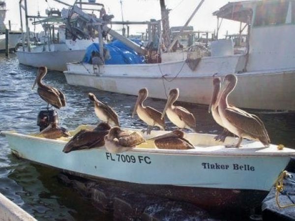 LifeLines: Fishing tackle