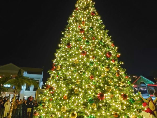 Christmas tree lights up Bridge Street