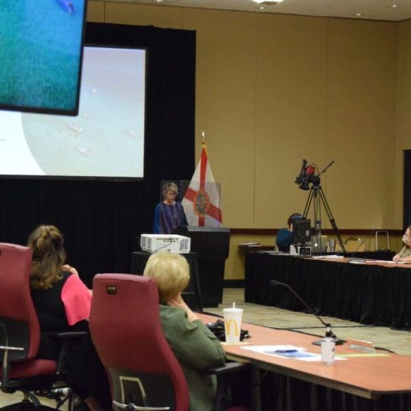 Tourism is rebounding in Manatee County