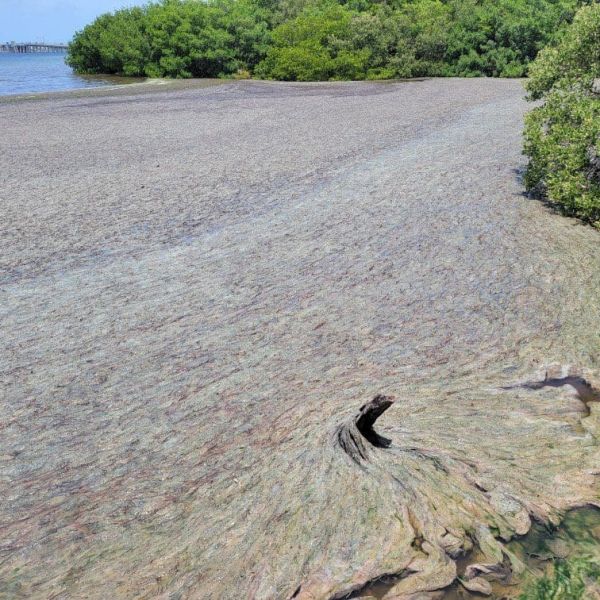 Committee to focus on prevention