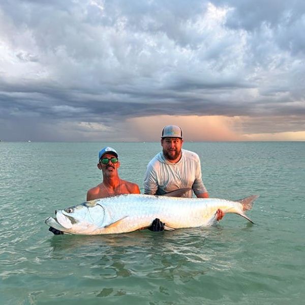 Tarpon season winds down