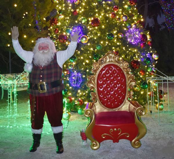 Pine Avenue shines during Holiday Walk of Treasures