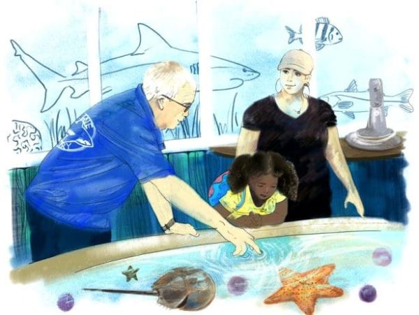 Mote Marine outreach center to open in May