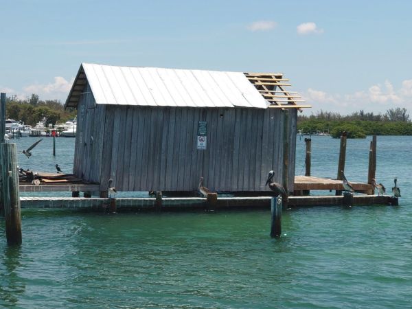 Net camp refurbishment continues