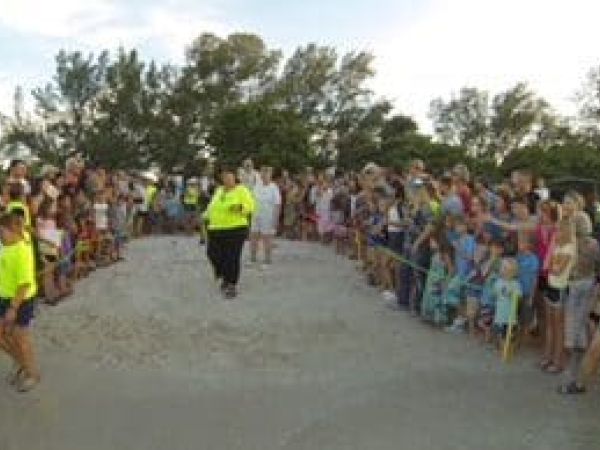 Turtle Watch director Suzi Fox dies