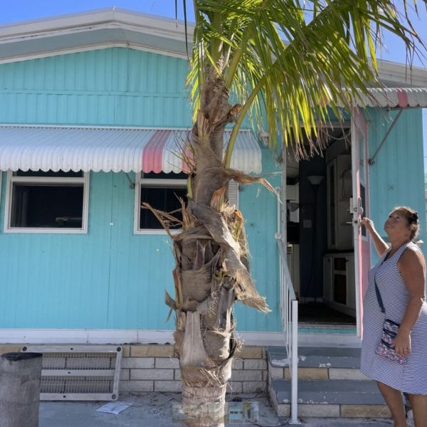 Pines residents are waiting for official correspondence from city