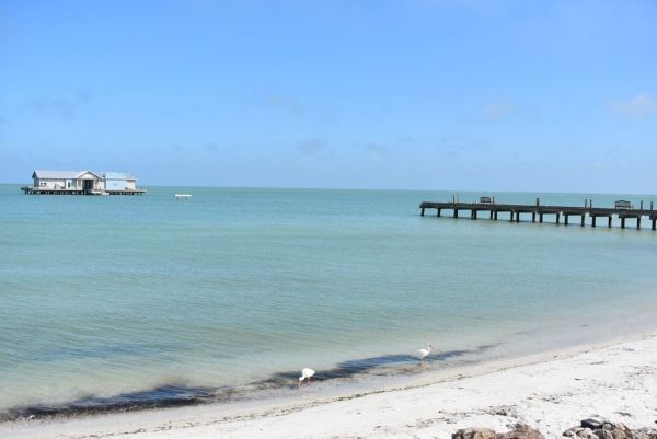 City officials seek funding for pier repairs