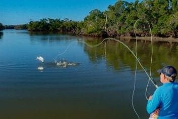 Exploring the Ten Thousand Islands