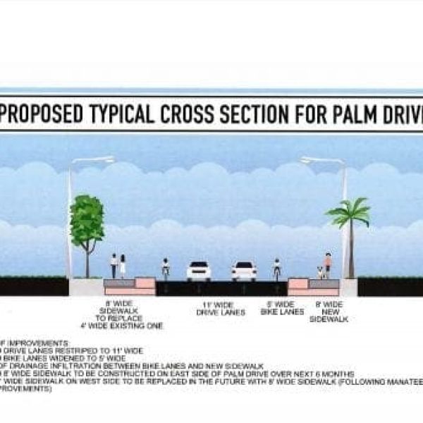 Holmes Beach multi use path palm
