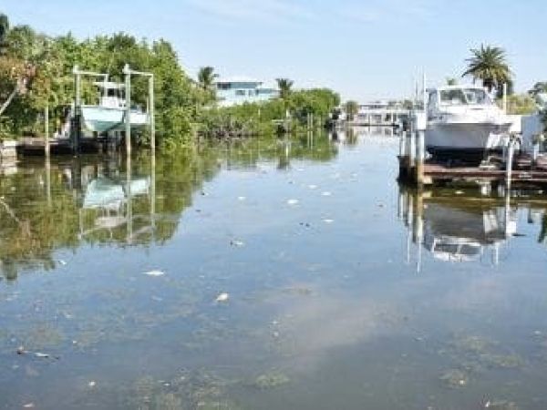 HB Fish Canal