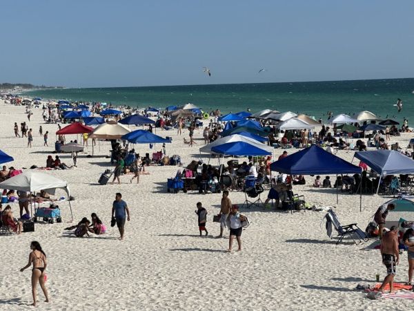 TDC recommends raising tourist tax