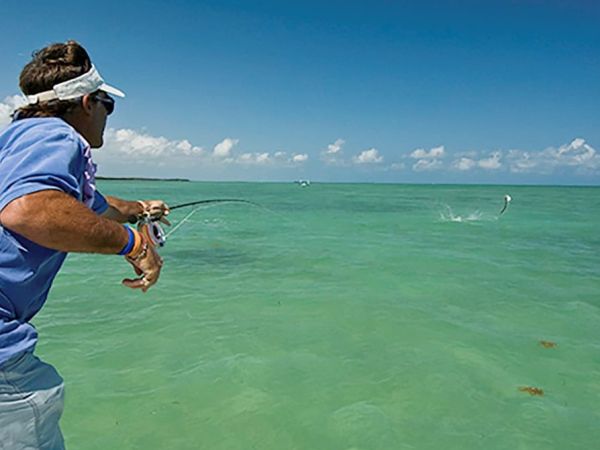 The apex of angling: Part two