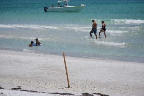 Anna Maria Beach Survey