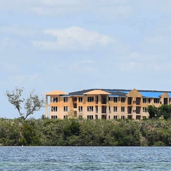 FDEP releases Aqua mangrove trimming report