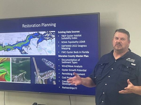 Oysters, past and future