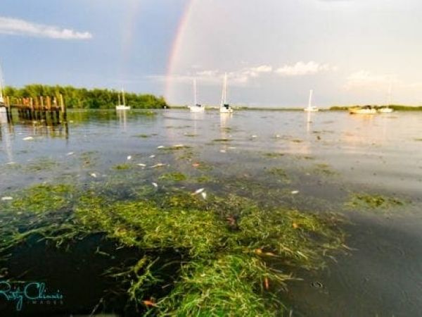 Reel Time: Waterkeeper Alliance holding polluters accountable