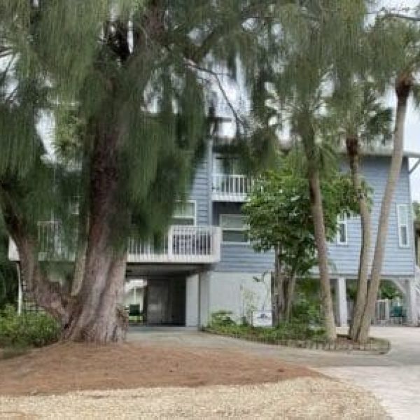 Watch out for rental fraud