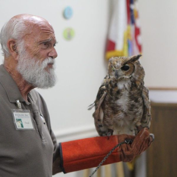 Owl presentation a &lsquo;hoot&rsquo; at Island Branch Library
