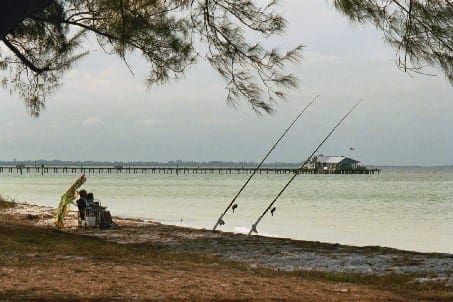 LifeLines: Fishing facts