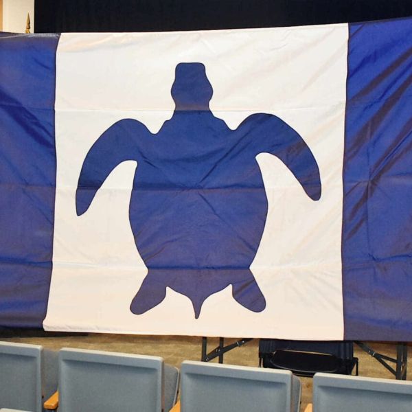 Mayor unveils new city flag