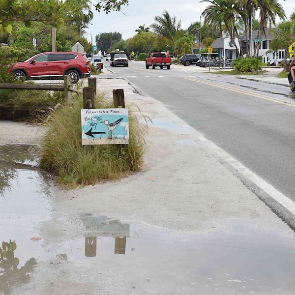 &lsquo;Reimagining Pine Avenue&rsquo; study approved