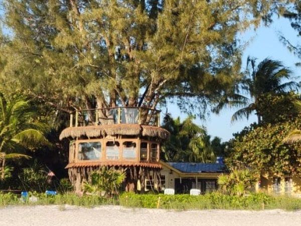 Treehouse owners prep for demolition