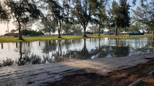 Pines plague parking project