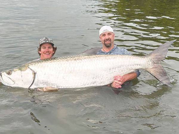 It&rsquo;s tarpon time off Anna Maria Island