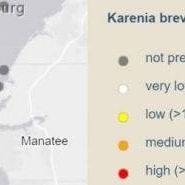 Manatee waters free of red tide