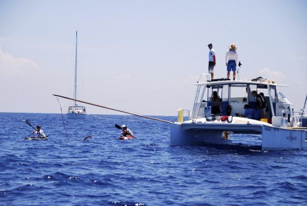 Film celebrates Nyad&rsquo;s historic swim from Cuba to Key West