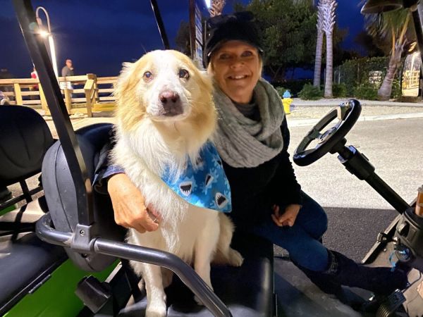 Is COVID a concern for our furry friends?