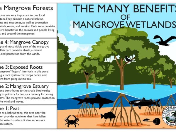 Commissioners discuss eroding wetlands protections