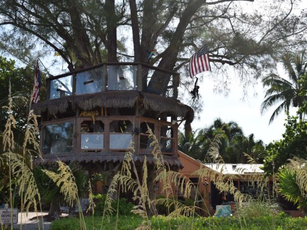 Treehouse demolition imminent
