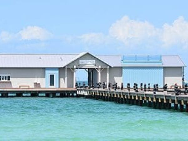 Sean Murphy withdraws his pier lease bid