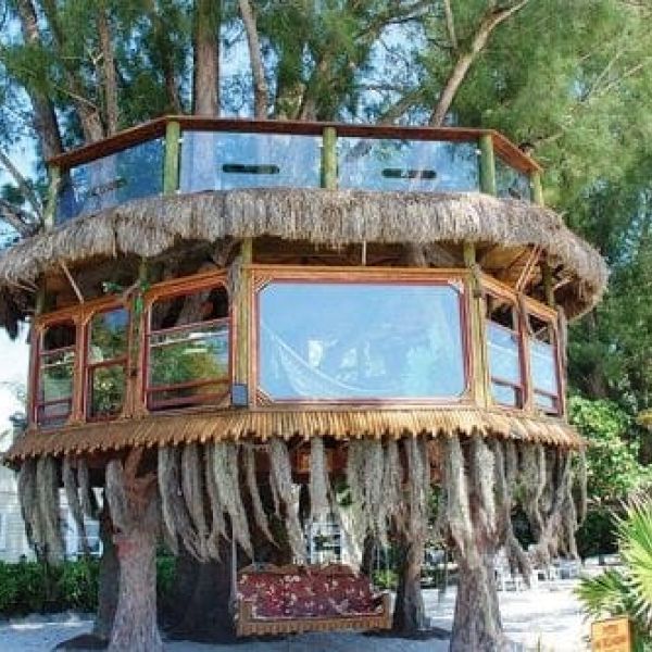 Tree house