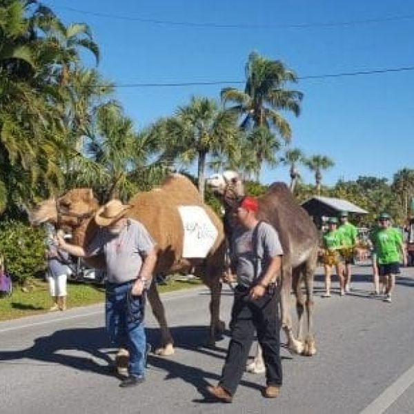 St. Patrick's Day Parade 2017